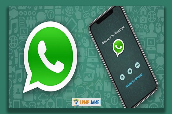 Kekurangan-Whatsapp-Versi-Transparan-Apk-Pro