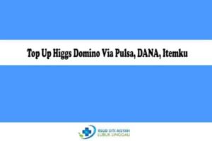 Top-Up-Higgs-Domino-Via-Pulsa-DANA-Itemku