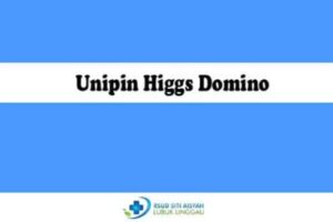 Unipin-Higgs-Domino