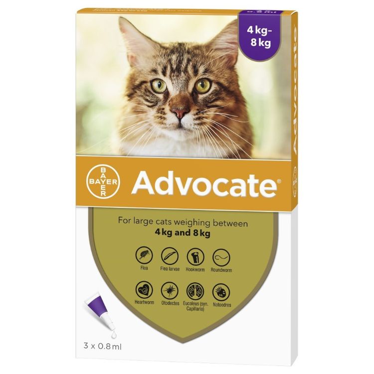 Advocate-for-Cat-Large-(Harga-mulai-Rp133.000)