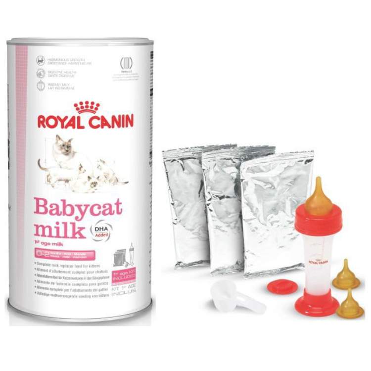 Babycat-Milk-Royal-Canin
