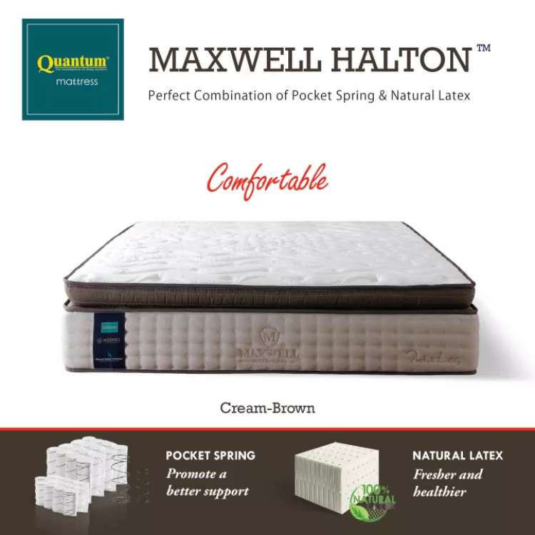 Quantum-Springbed-–-Maxwell-Halton-Pocket-Latex-Pillowtop