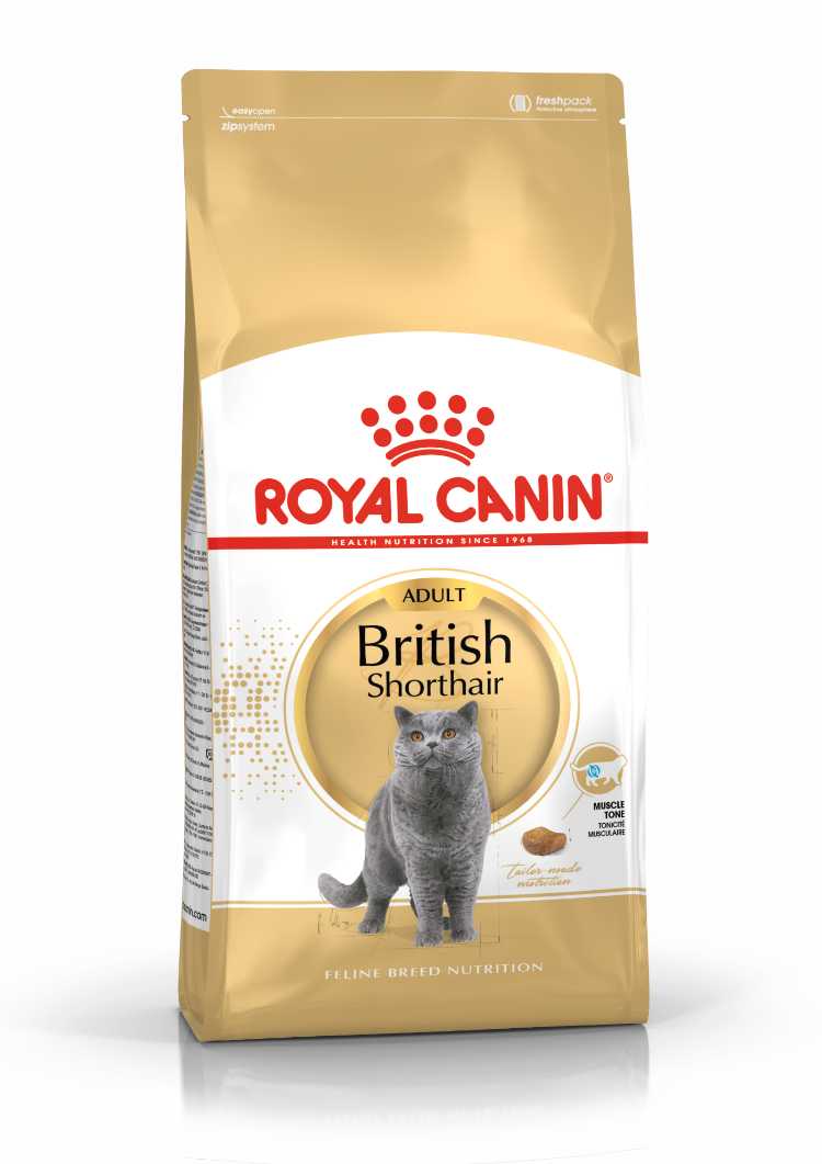 Royal-Canin-British-ShortHair-Harga-mulai-Rp285.000