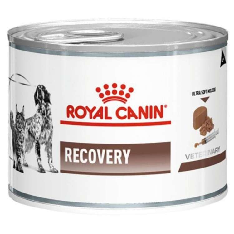 Royal-Canin-–-Recovery